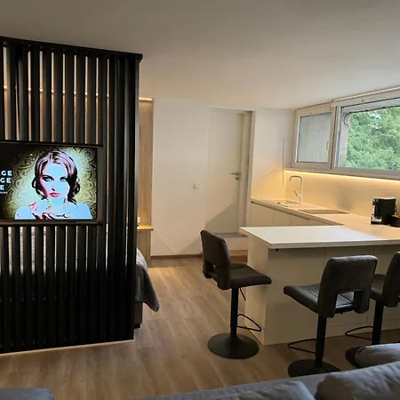 Appartments Gregorciceva Apartamento *